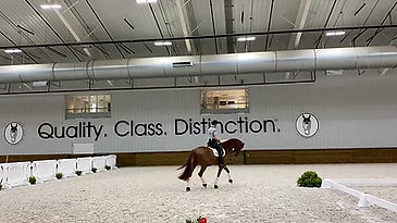 Five Star's First Visit to the World Equestrian Center